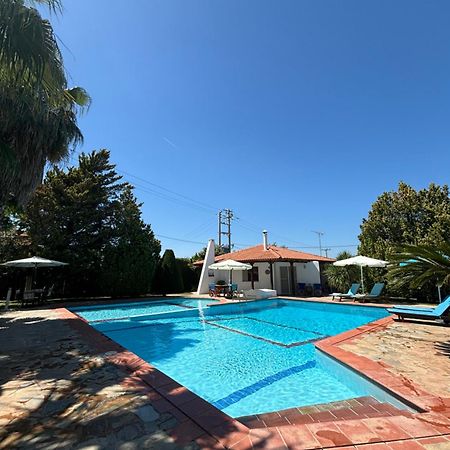 Country House With Pool And Big Garden Oropos Eksteriør bilde